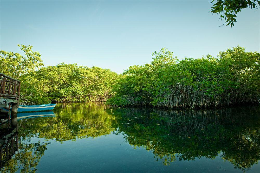 Bel Air Collection Resort & Spa Riviera Maya Xpu Ha Luaran gambar